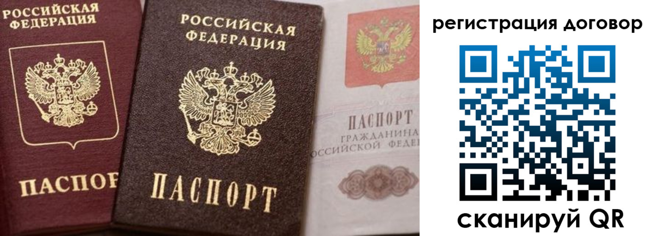 прописка 2025 в Коврове