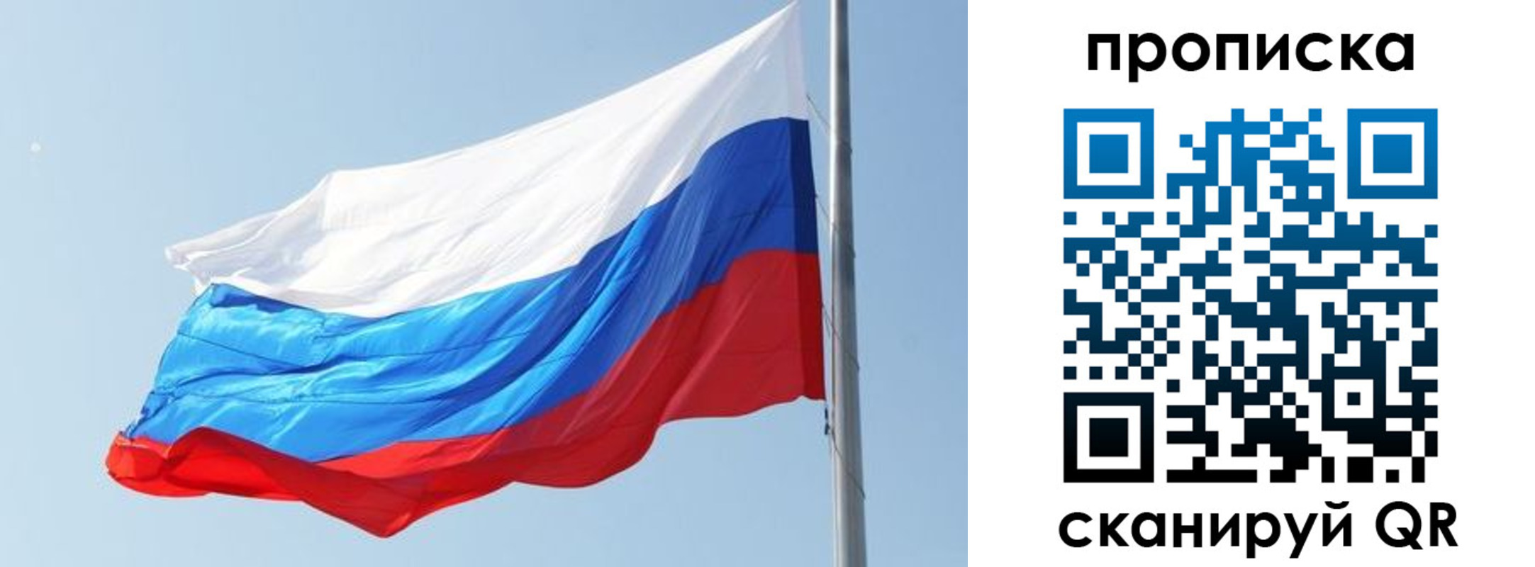 прописка для школы в Коврове